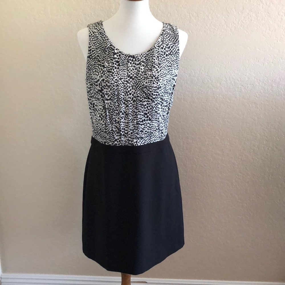 Lovely dress for the office.